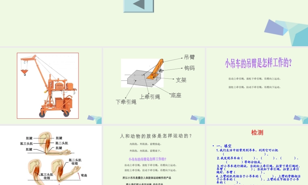 四年级科学上册 第10课 常见的力课件3 冀教版-冀教版小学四年级上册自然科学课件