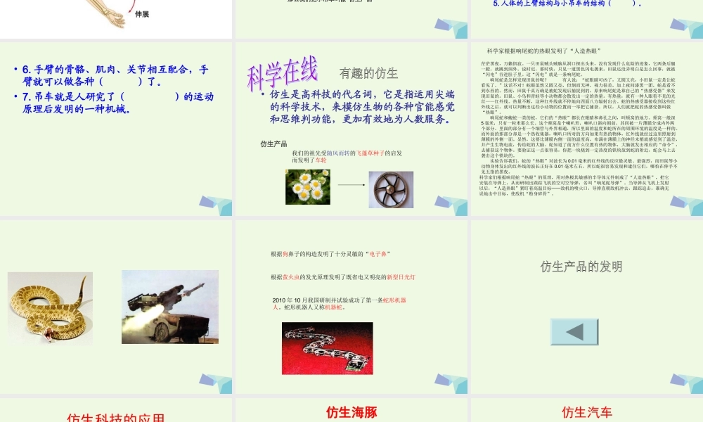 四年级科学上册 第10课 常见的力课件3 冀教版-冀教版小学四年级上册自然科学课件