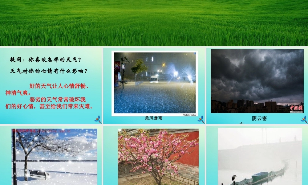 四年级科学下册 第二单元 天气 第2课 多样的天气课件3 冀人版-人教版小学四年级下册自然科学课件