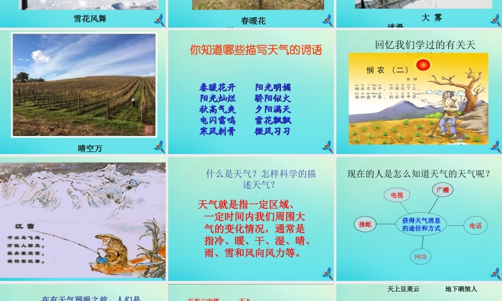 四年级科学下册 第二单元 天气 第2课 多样的天气课件3 冀人版-人教版小学四年级下册自然科学课件