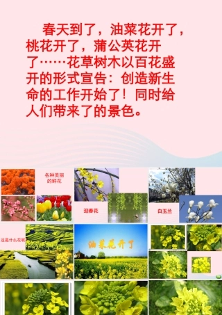 四年级科学下册 2 新的生命 1《油菜花开了》课件2 教科版-教科版小学四年级下册自然科学课件