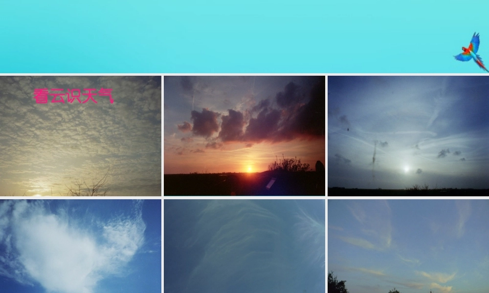 四年级科学下册 第二单元 天气 第3课 观测天气课件1 冀人版-人教版小学四年级下册自然科学课件