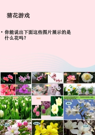 四年级科学下册 2 新的生命 2 各种各样的花课件1 教科版-教科版小学四年级下册自然科学课件