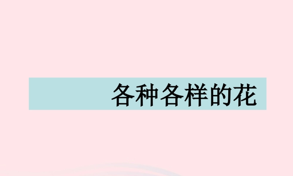 四年级科学下册 2 新的生命 2 各种各样的花课件3 教科版-教科版小学四年级下册自然科学课件