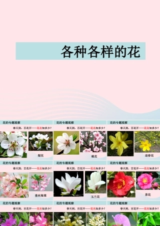 四年级科学下册 2 新的生命 2 各种各样的花课件3 教科版-教科版小学四年级下册自然科学课件