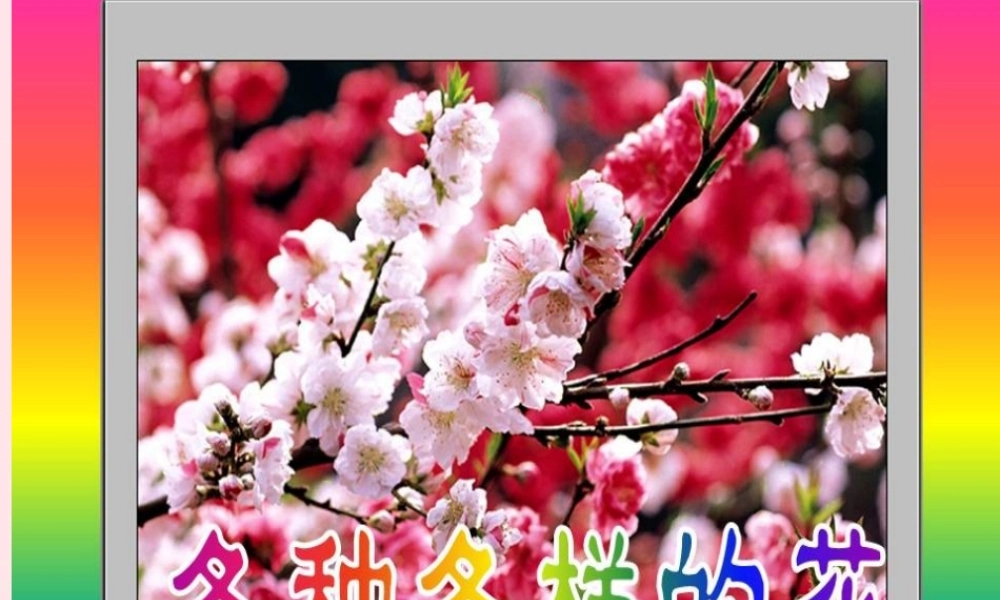 四年级科学下册 2 新的生命 2 各种各样的花课件4 教科版-教科版小学四年级下册自然科学课件