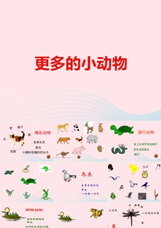 四年级科学上册 第10课《更多的小动物》课件（2） 鄂教版-鄂教版小学四年级上册自然科学课件