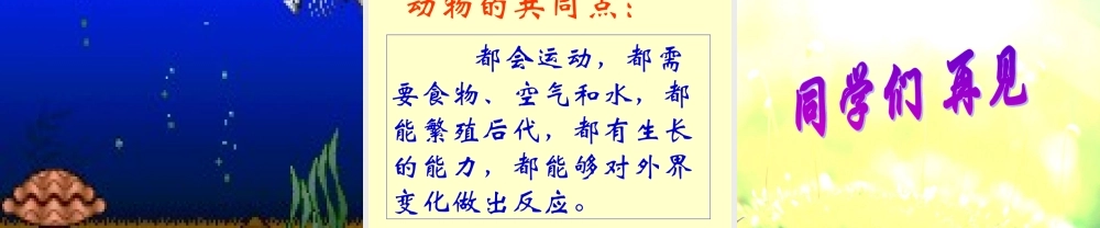 四年级科学上册 第10课《更多的小动物》课件（4） 鄂教版-鄂教版小学四年级上册自然科学课件