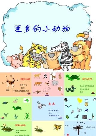 四年级科学上册 第10课《更多的小动物》课件（4） 鄂教版-鄂教版小学四年级上册自然科学课件