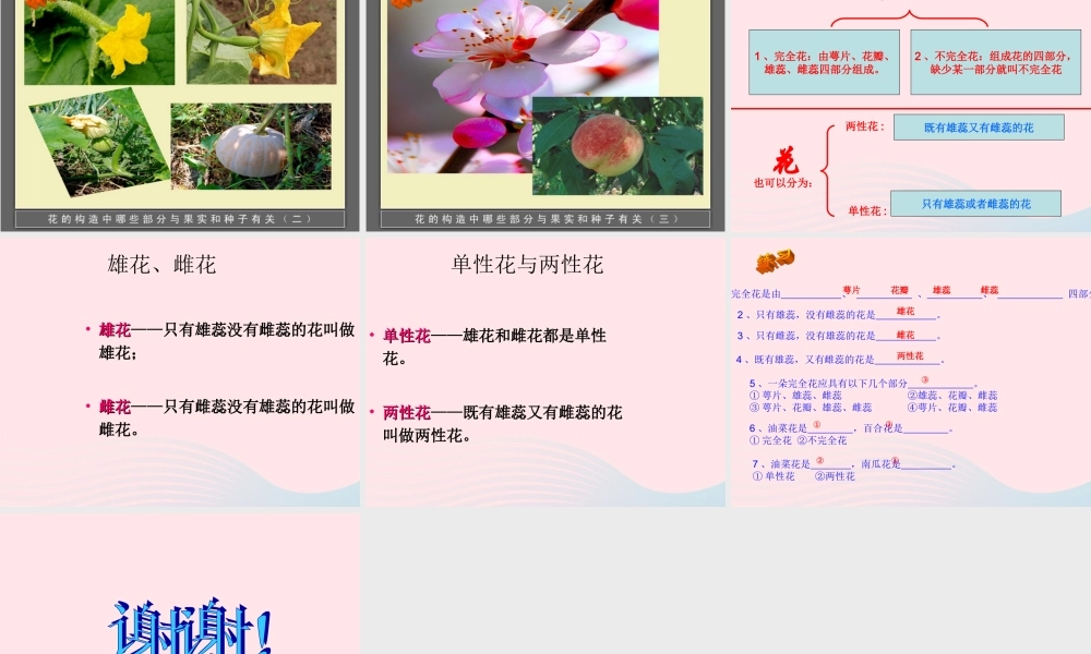 四年级科学下册 2 新的生命 2各种各样的花课件 教科版-教科版小学四年级下册自然科学课件
