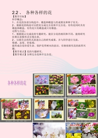 四年级科学下册 2 新的生命 2各种各样的花课件 教科版-教科版小学四年级下册自然科学课件