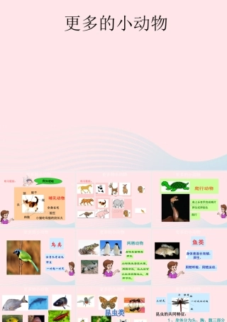 四年级科学上册 第10课《更多的小动物》课件（5） 鄂教版-鄂教版小学四年级上册自然科学课件