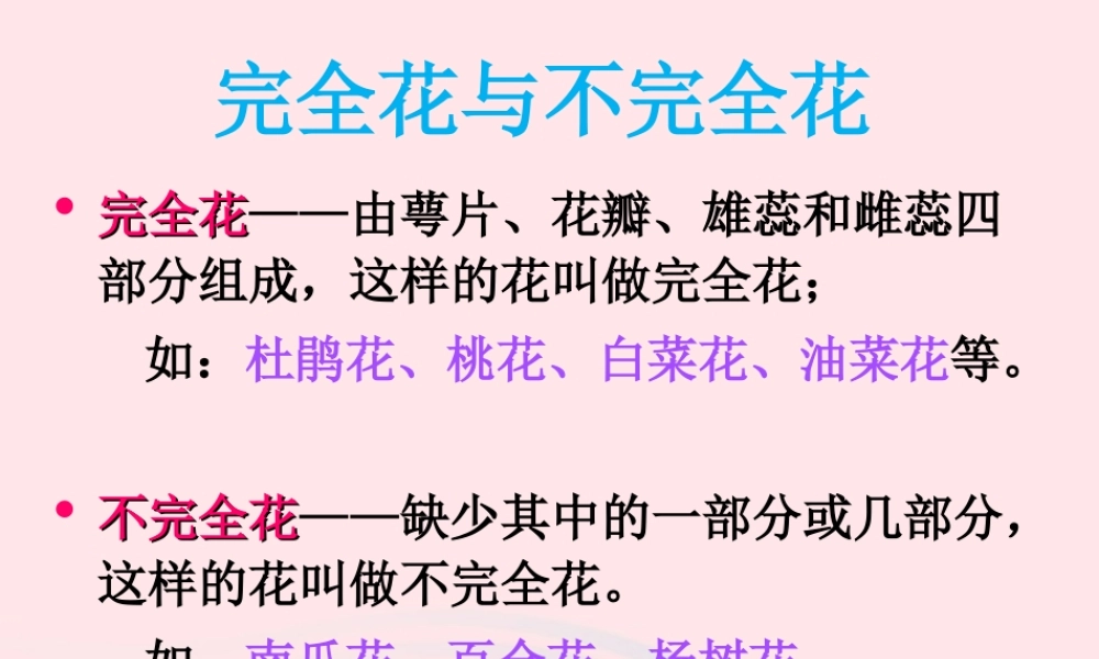 四年级科学下册 2 新的生命 3 花 果实和种子课件 教科版-教科版小学四年级下册自然科学课件