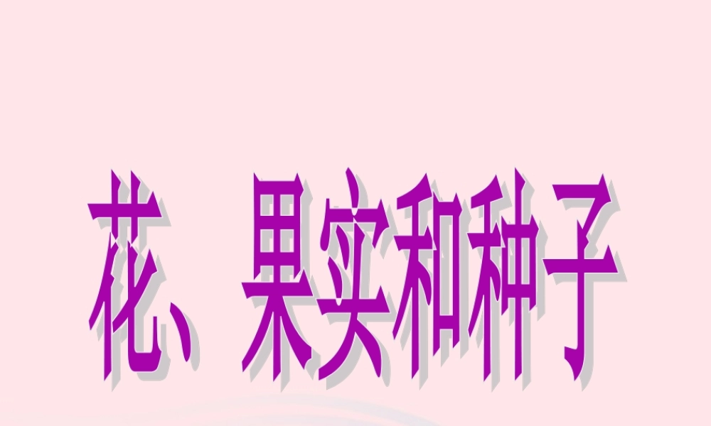 四年级科学下册 2 新的生命 3 花 果实和种子课件2 教科版-教科版小学四年级下册自然科学课件