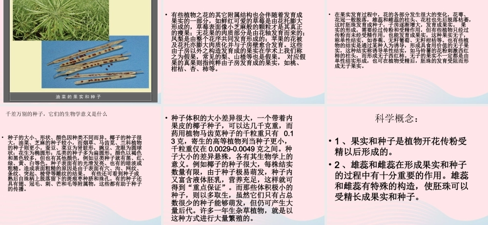 四年级科学下册 2 新的生命 3 花 果实和种子课件2 教科版-教科版小学四年级下册自然科学课件