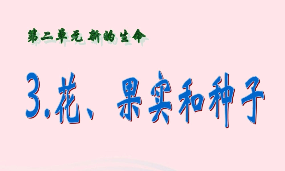 四年级科学下册 2 新的生命 3 花 果实和种子课件3 教科版-教科版小学四年级下册自然科学课件