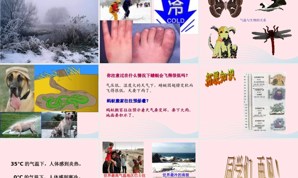 四年级科学上册 第11课《今天的气温是多少》课件（1） 鄂教版-鄂教版小学四年级上册自然科学课件