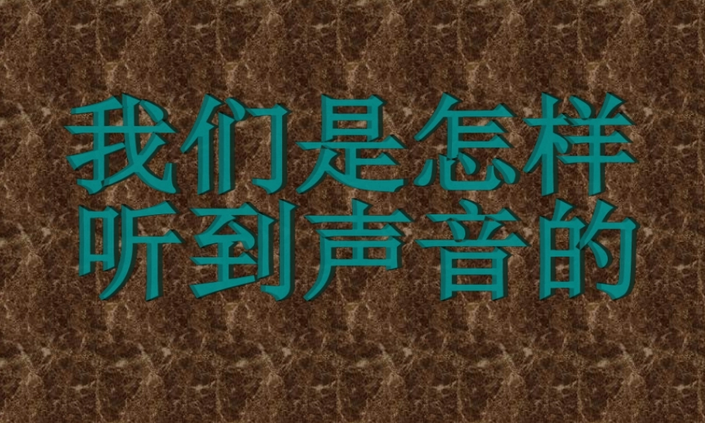 四年级科学下册 第二章 第4课《我们怎样听到声音》课件2 新人教版-新人教版小学四年级下册自然科学课件