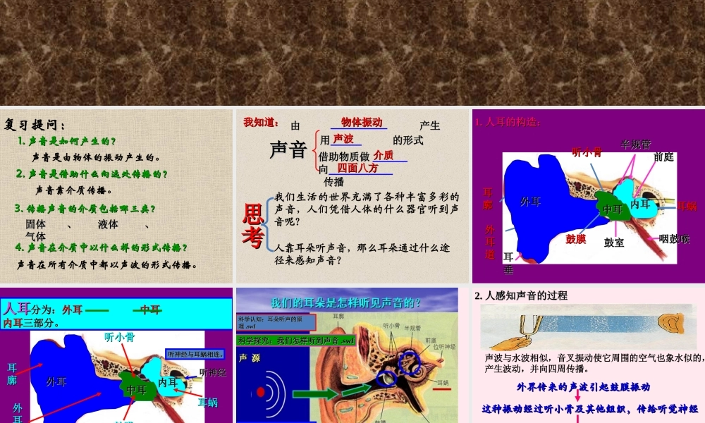 四年级科学下册 第二章 第4课《我们怎样听到声音》课件2 新人教版-新人教版小学四年级下册自然科学课件