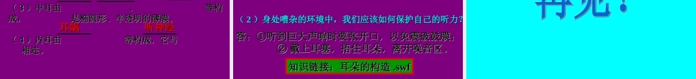 四年级科学下册 第二章 第4课《我们怎样听到声音》课件2 新人教版-新人教版小学四年级下册自然科学课件