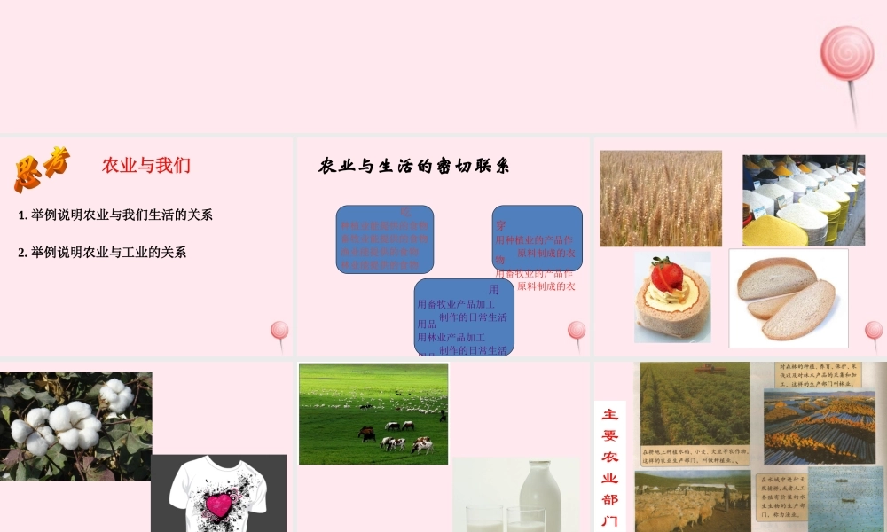 四年级科学下册 第六单元 农业与技术 第23课《未来农业》课件 冀教版-冀教版小学四年级下册自然科学课件