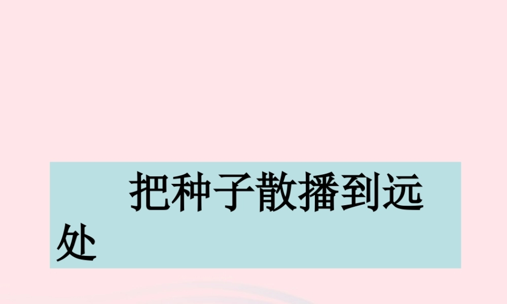 四年级科学下册 2 新的生命 4 把种子散播到远处课件3 教科版-教科版小学四年级下册自然科学课件