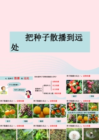 四年级科学下册 2 新的生命 4 把种子散播到远处课件3 教科版-教科版小学四年级下册自然科学课件