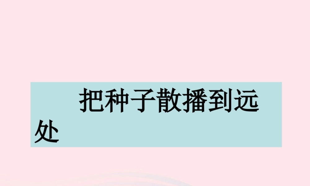 四年级科学下册 2 新的生命 4 把种子散播到远处课件4 教科版-教科版小学四年级下册自然科学课件