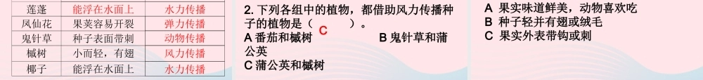 四年级科学下册 2 新的生命 4 把种子散播到远处课件4 教科版-教科版小学四年级下册自然科学课件