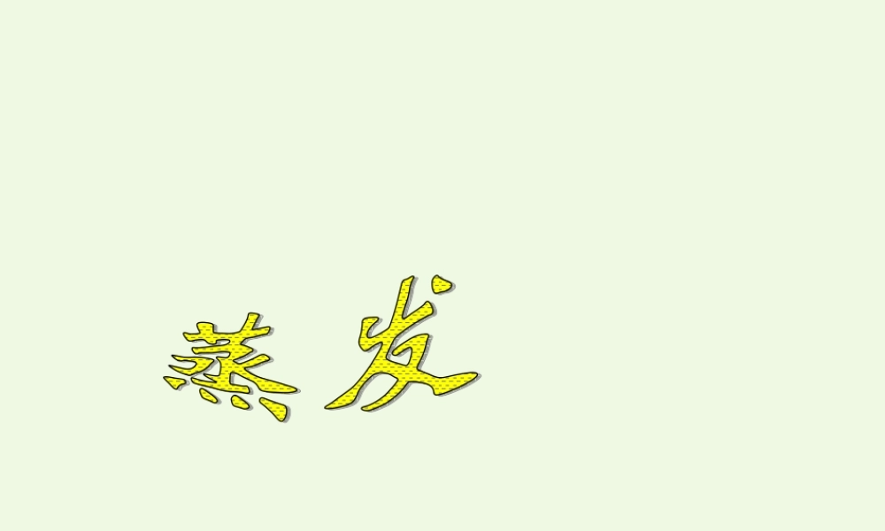 四年级科学上册 第13课 蒸发课件2 青岛版五四制-青岛版小学四年级上册自然科学课件