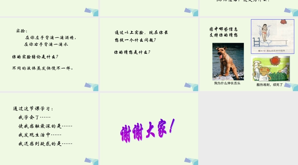 四年级科学上册 第13课 蒸发课件2 青岛版五四制-青岛版小学四年级上册自然科学课件