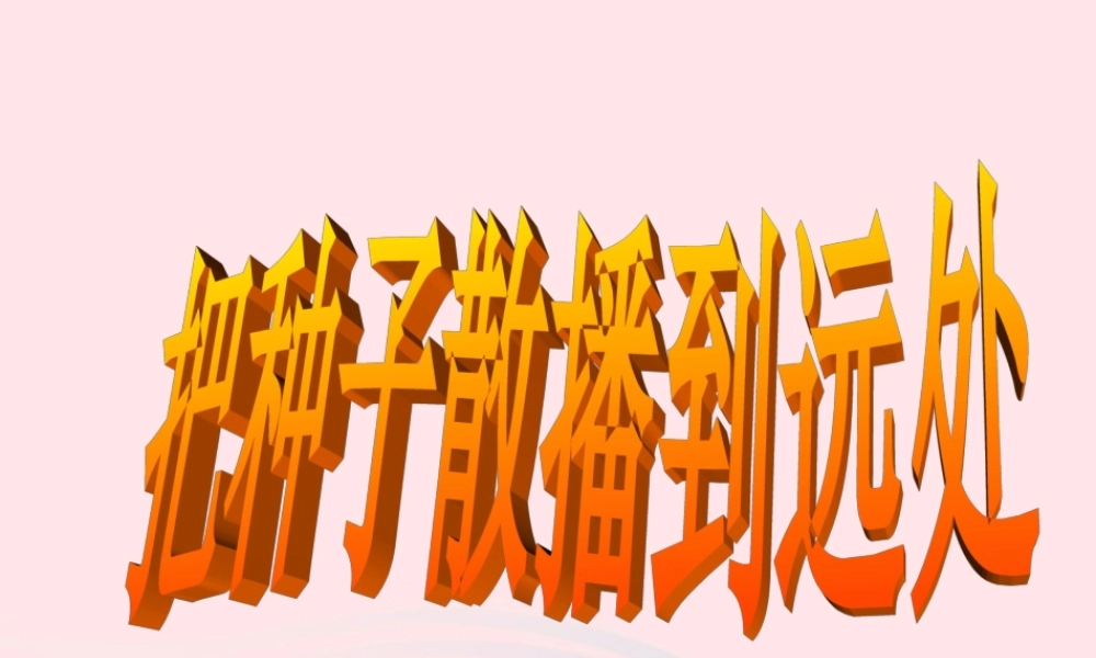 四年级科学下册 2 新的生命 4 把种子散播到远处课件5 教科版-教科版小学四年级下册自然科学课件