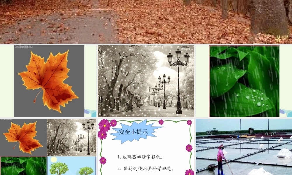 四年级科学上册 第13课 蒸发课件3 青岛版五四制-青岛版小学四年级上册自然科学课件