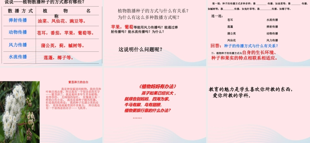 四年级科学下册 2 新的生命 4《把种子散播到远处》课件1 教科版-教科版小学四年级下册自然科学课件