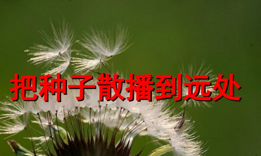 四年级科学下册 2 新的生命 4《把种子散播到远处》课件2 教科版-教科版小学四年级下册自然科学课件