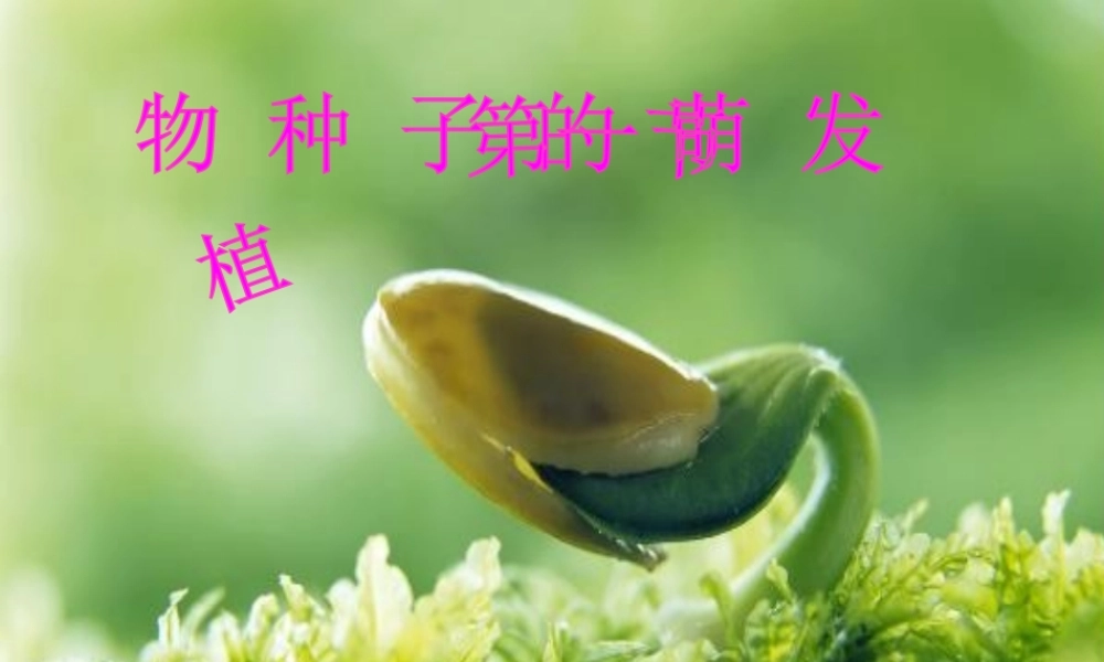 四年级科学下册 2 新的生命 5 种子的萌发课件 教科版-教科版小学四年级下册自然科学课件