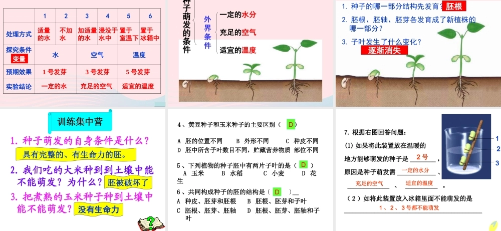 四年级科学下册 2 新的生命 5 种子的萌发课件 教科版-教科版小学四年级下册自然科学课件