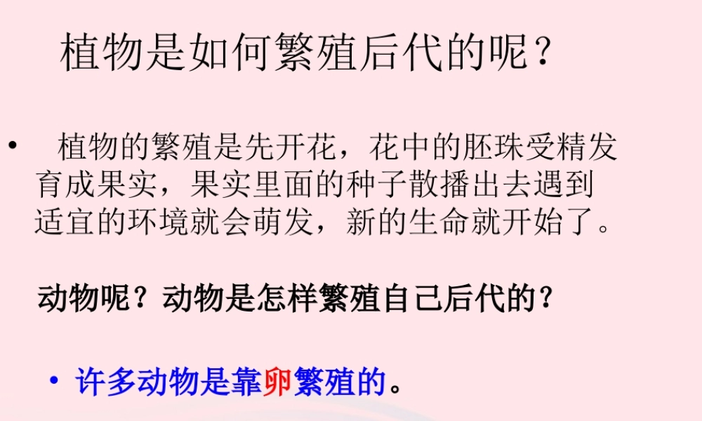 四年级科学下册 2 新的生命 6 动物的卵课件 教科版-教科版小学四年级下册自然科学课件