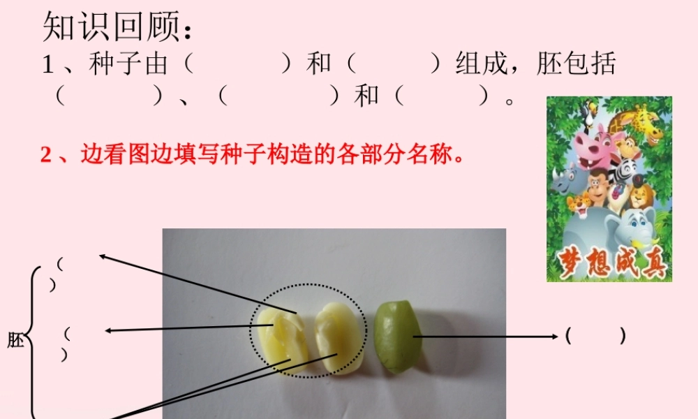 四年级科学下册 2 新的生命 6 动物的卵课件2 教科版-教科版小学四年级下册自然科学课件