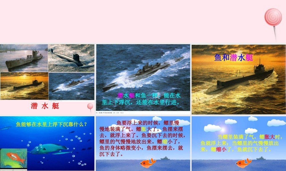 四年级科学下册 第三单元 第16课《玩潜水艇》课件1 鄂教版-鄂教版小学四年级下册自然科学课件