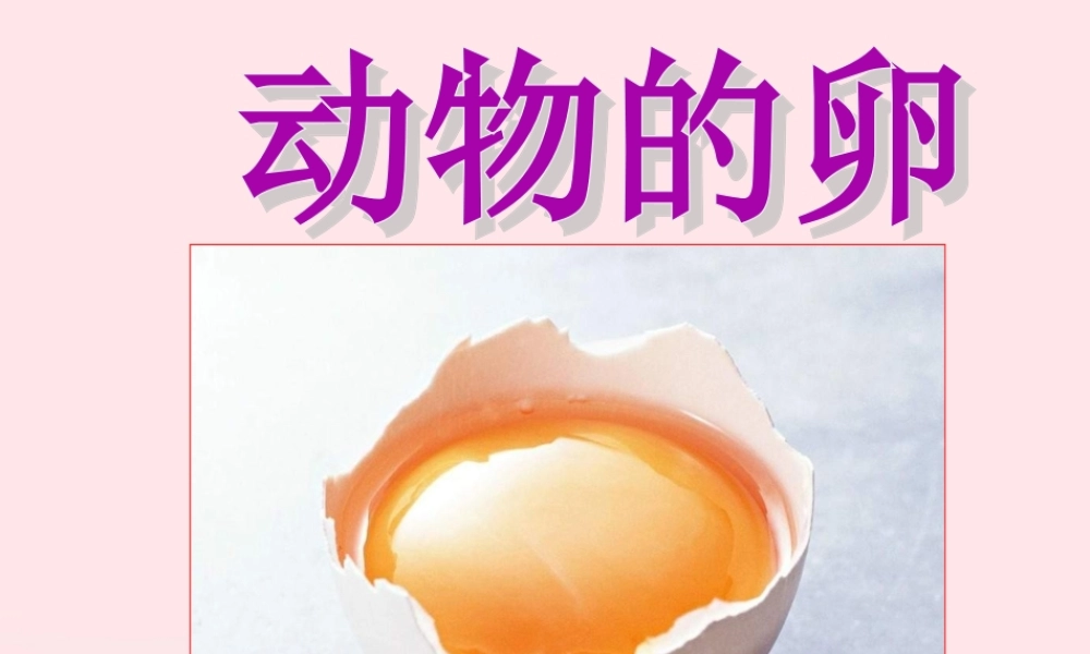 四年级科学下册 2 新的生命 6 动物的卵课件3 教科版-教科版小学四年级下册自然科学课件