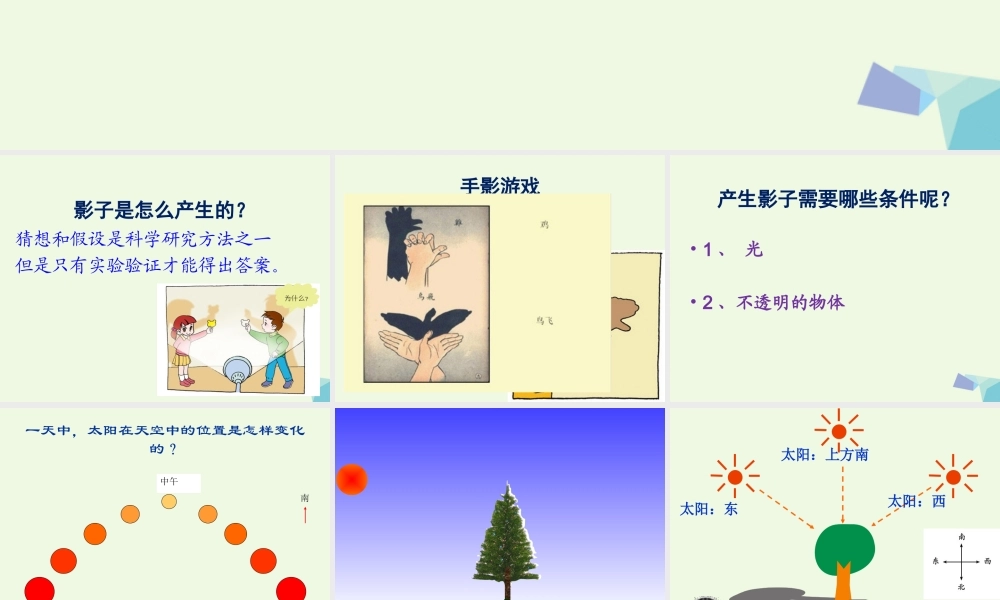 四年级科学上册 第14课 太阳和影子课件4 冀教版-冀教版小学四年级上册自然科学课件