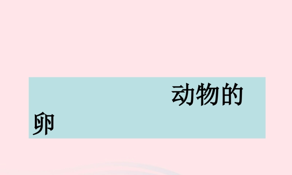 四年级科学下册 2 新的生命 6 动物的卵课件5 教科版-教科版小学四年级下册自然科学课件