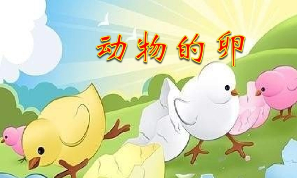 四年级科学下册 2 新的生命 6 动物的卵课件6 教科版-教科版小学四年级下册自然科学课件