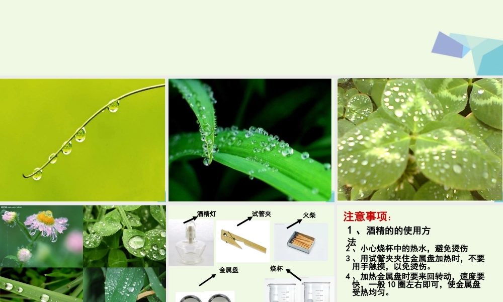 四年级科学上册 第15课 凝结课件2 青岛版五四制-青岛版小学四年级上册自然科学课件