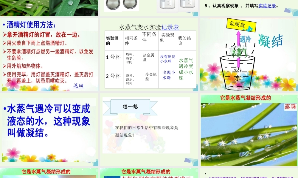 四年级科学上册 第15课 凝结课件2 青岛版五四制-青岛版小学四年级上册自然科学课件