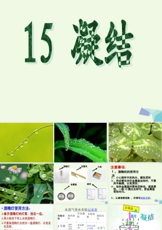 四年级科学上册 第15课 凝结课件2 青岛版五四制-青岛版小学四年级上册自然科学课件