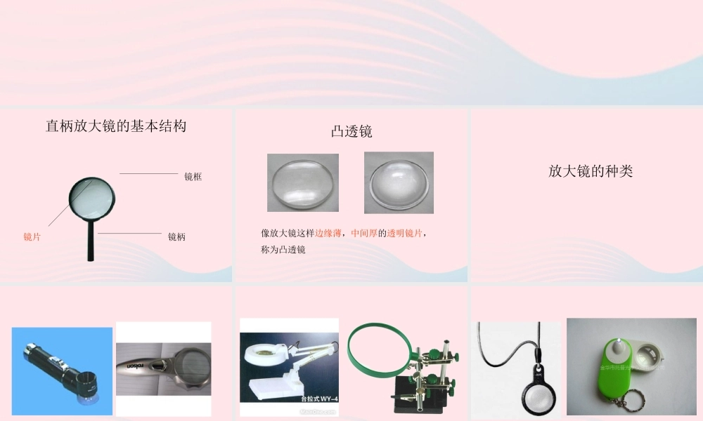 四年级科学下册 第三单元 光与我们的生活 第12课《凸透镜》课件1 青岛版五四制-青岛版小学四年级下册自然科学课件