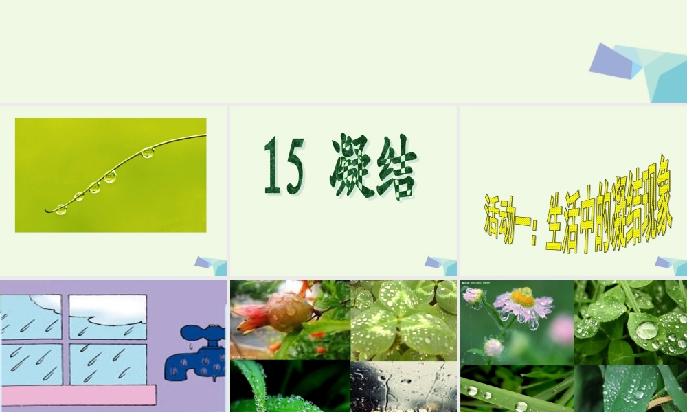 四年级科学上册 第15课 凝结课件3 青岛版五四制-青岛版小学四年级上册自然科学课件