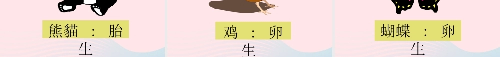 四年级科学下册 2 新的生命 7 动物的繁殖活动课件1 教科版-教科版小学四年级下册自然科学课件